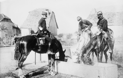 French Officers watering horses, between c1914 and c1915. Creator: Bain News Service.