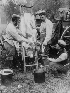 Field butcher on firing line, North Sea Coast, between 1914 and 1918. Creator: Bain News Service.