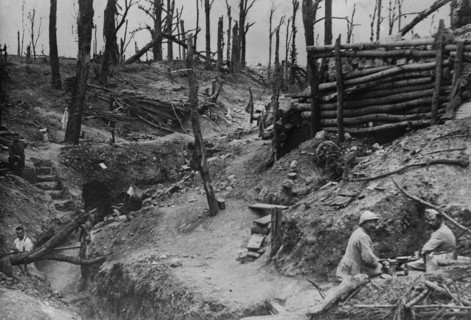 The wood called Des Fermes in the Somme, between c1915 and c1920. Creator: Bain News Service.