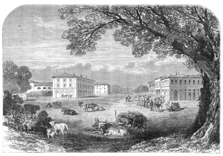 Il Gombo, near Pisa, the Acclimatisation Farm of His Majesty Victor Emmanuel, 1864. Creator: Unknown.