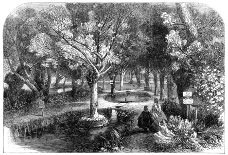 Experimenting ponds at the Huningue Fish Nurseries, France, 1864. Creator: Mason Jackson.