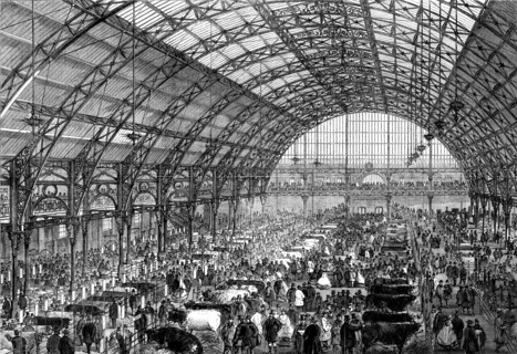 The Smithfield Club Cattle Show at the new Agricultural Hall, Islington, 1862. Creator: Unknown.