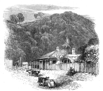 Views at the Seat of the War in New Zealand: settler's house at Waikato, 1864. Creator: Unknown.