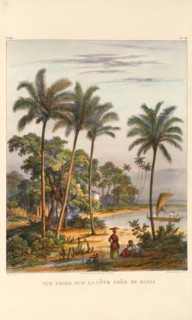 The coast near Bahia. From "Voyage pittoresque dans le Brésil", 1835. Creator: Rugendas, Johann Moritz (1802-1858).