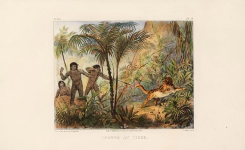 Tiger hunting. From "Voyage pittoresque dans le Brésil", 1835. Creator: Rugendas, Johann Moritz (1802-1858).