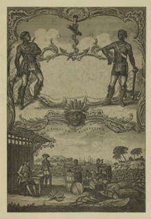 A tobacco plantation, 1745. Creator: Unknown artist.