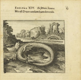 Emblem 14. This is the dragon eating its own tail. From "Atalanta fugiens" by Michael Maier, 1618. Creator: Merian, Matthäus, the Elder (1593-1650).
