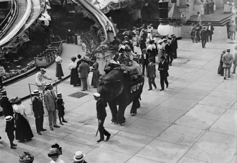 Coney Island, Riding Elephant, 1911. Creator: Bain News Service.