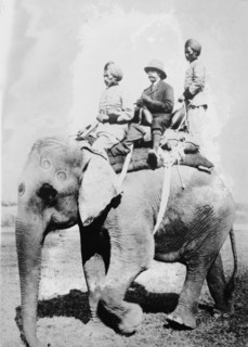 King Emperor's Hunt in India, 1911. Creator: Bain News Service.