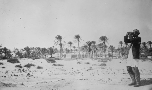 Oasis of Misturata, between c1910 and c1915. Creator: Bain News Service.