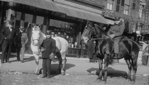 Fire engine horses, between c1910 and c1915. Creator: Bain News Service.