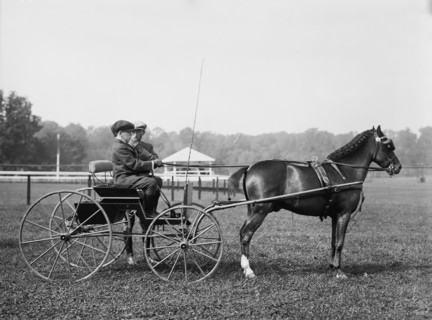 John Schiff & Mrs. Phipps' "Mighty Adam", 1913. Creator: Bain News Service.