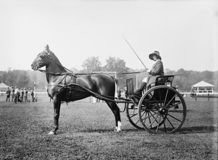 Alix Dolan & "Pride of Jersey", 1913. Creator: Bain News Service.