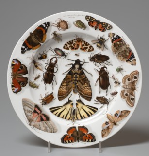 Plate, 1840. Creator: Unknown.