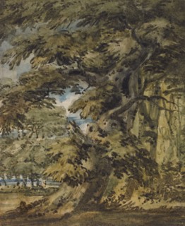 A Wooded Landscape, c1752. Creator: Thomas Girtin.