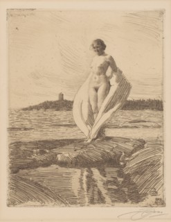 The swan, 1915, Sweden. Creator: Anders Leonard Zorn.