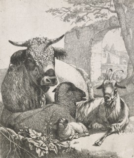 Sheep, goats and cows series: Recumbent bull, 1668-1670. Creator: Johann Heinrich Roos.