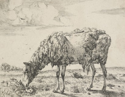 Cows and a sheep. Plate 8: A grazing sheep, 1664. Creator: Marcus de Bye.