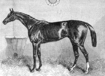 General Peel, the winner of the Two Thousand Guineas at the Newmarket Spring Meeting, 1864. Creator: Unknown.