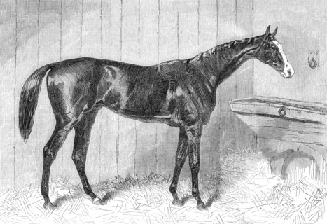 Blair Athol, the Winner of the Derby, 1864. Creator: Unknown.