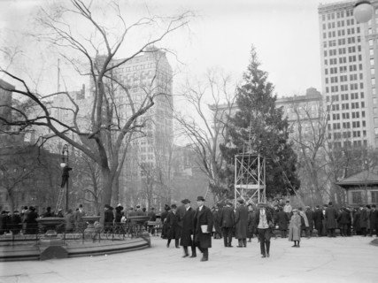 Xmas tree in Madison Sq. Park, N.Y.C., between c1910 and c1915. Creator: Bain News Service.