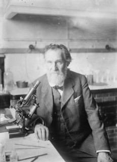 Elie Metchnikoff, between c1910 and c1915. Creator: Bain News Service.