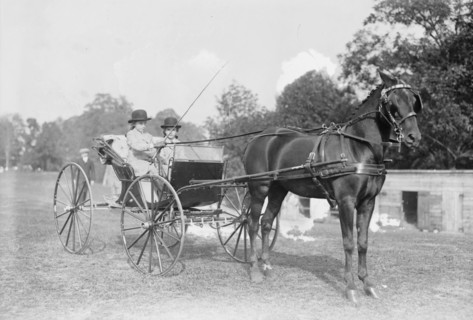 Josephine Eliz. Jenks driving "Frills", between c1910 and c1915. Creator: Bain News Service.