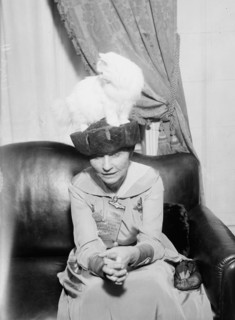 Mrs. R.F. Armstrong & Kilravock Donna-Mafalda [cat], between c1915 and c1920. Creator: Bain News Service.