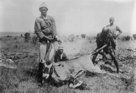 Antelope killed in Africa, between c1915 and c1920. Creator: Bain News Service.