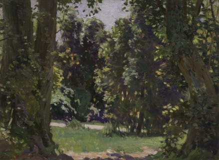 Peel Forest, c1920s. Creator: Archibald Frank Nicoll.