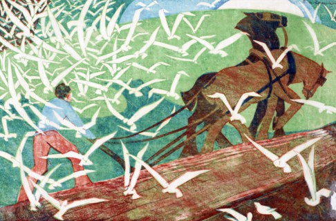 Birds following a plough, 1933. Creator: Ethel Louise Spowers.