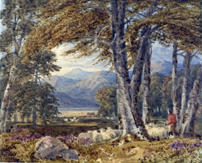 Landscape through trees,  1750-1780. Creator: George Barret Sr.