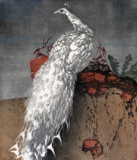 White peacock, 1910. Creator: Hans Frank.