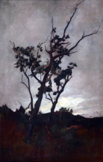 Tree study,  c1893-98. Creator: Petrus van der Velden.