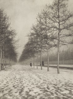 The Mall in winter. From the album: Photograph album - London, 1920s. Creator: Harry Moult.