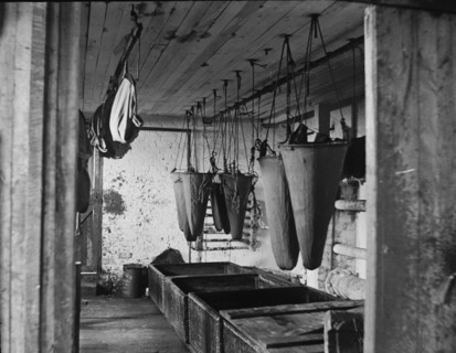 In the refining room filtering sea elephant oil, c1895. Creator: Unknown.