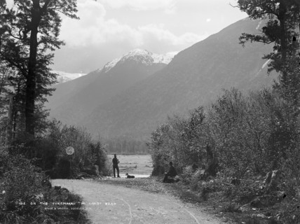 On the Taramakau, West Coast Road, c1880s. Creator: Burton Brothers.
