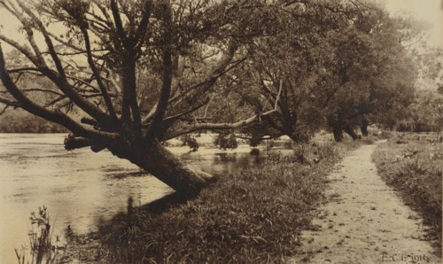 By the Waikato, 1916. Creator: ECI.