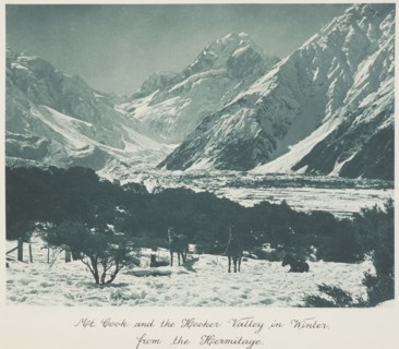 Mt Cook and the Hooker Valley in winter, from the Hermitage, 1920s. Creator: Harry Moult.