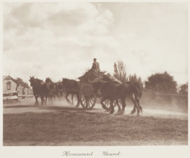 Homeward bound. From the album: Camera Pictures of New Zealand, 1920s. Creator: Harry Moult.