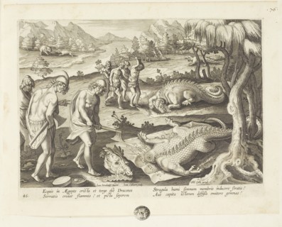 Venationes ferarum, avium, piscium (Hunts of wild animals, birds and fish). Plate 46, 1596. Creator: Hans Collaert the Younger.
