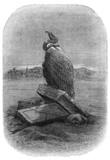 Purification (the Griffon Vulture): from "The Bird", by J. Michelet, 1868. Creators: Adolphe François Pannemaker, Albert Doms.