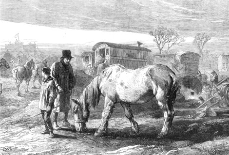 The Last Lot, by G. H. Thomas, general exhibition of water-colour drawings, Dudley Gallery, 1868.  Creator: W Thomas.