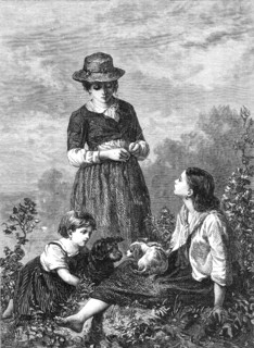 The Rival Pets, by E. Castan, in the exhibition at the French Gallery, Pall-Mall, 1868.  Creator: W Thomas.