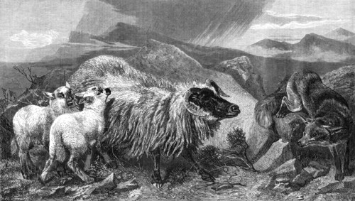 The Unwelcome Visitor, by R. Ansdell, A.R.A., in the Exhibition of the Royal Academy, 1869. Creator: W Thomas.