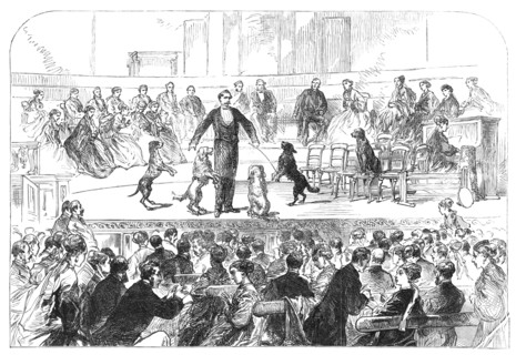 Christmas Soiree at the Hanover-Square Rooms, of the Association in aid of the Deaf and Dumb, 1869. Creator: Unknown.
