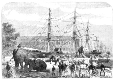 Embarking elephants at Bombay for the Abyssinian Expedition, 1868. Creator: C. R..