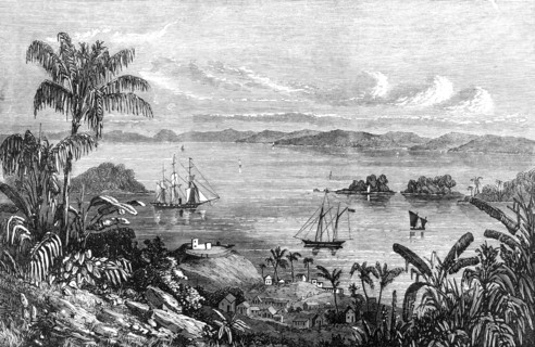 The Bay of Samana, St. Domingo, lately purchased by the United States, 1868. Creator: Unknown.
