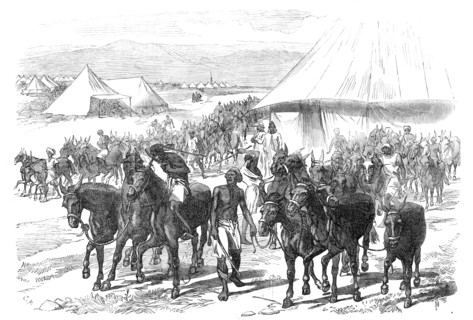 The Expedition to Abyssinia: mules and mule drivers, 1868. Creator: C. R..