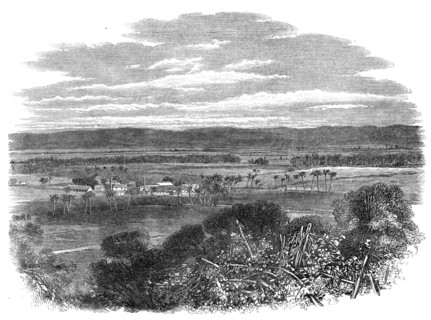 The Hordley Estate, Morant Bay, Jamaica, 1865. Creator: Unknown.